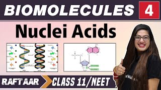 Biomolecules 04  Nuclei Acids  Class 11NEET  RAFTAAR [upl. by Varini]