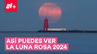 Luna Rosa 2024 ¿Cuándo es y dónde verla  N [upl. by Kieran]