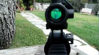 Bushnell TRS25 Micro Red Dot sight with lower 13 cowitness mounted on an AR15 [upl. by Halbeib]