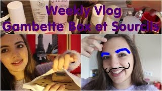 Weekly Vlog  Gambette Box et Sourcils en folie [upl. by Lucio26]