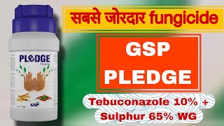 GSP PLEDGE FUNGICIDE Tebuconazole 10  Sulphur 65 WG FUNGICIDE PLEDGE GSP A2 FARMING [upl. by Akiner]