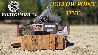 BODYGUARD 20 HOLLOW POINT TEST [upl. by Collie43]