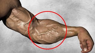 Exercises to get Veins Forearms [upl. by O'Carroll]