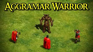 AGGRAMAR WARRIOR vs EVERY UNIQUE UNIT AoE2 [upl. by Eladnyl]