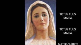 MADONNA VON MEDJUGORJE  JÄHRLICHE ERSCHEINUNG VON JAKOV COLO AM 25 DEZEMBER 2011 [upl. by Monti]