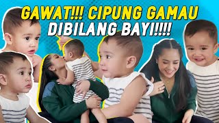 POTRET GEMAS Rafathar Cipung amp Baby Lily Main Bareng Harga Fantastis Kursi Bayi Si Bungsu Disorot [upl. by Suitangi]