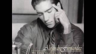 Alejandro Fernandez  Yo nací para amarte [upl. by Betthel280]