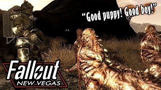 Mutant Training His Centaurs  Fallout New Vegas [upl. by Aeht]