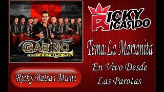 La Marianita En Vivo  Gabino Y Su Banda Chica [upl. by Olraced496]