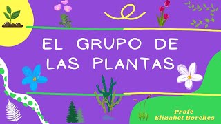 El grupo de las plantas [upl. by Imekawulo563]