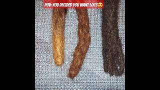 Choose Your Loc Texture🥰 naturallocsinstantlocs [upl. by Etheline]