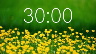 30 Minute Countdown Timer for Spring [upl. by Haden]