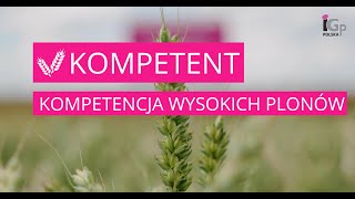 🌱 Pszenica ozima KOMPETENT [upl. by Iramo]