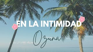 Ozuna  En La Intimidad  LetraLyrics [upl. by Iuqcaj]