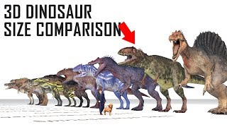 Dinosaur Size amp Weight Comparison Theropods [upl. by Chon568]