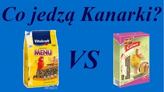 CO JEDZĄ KANARKI Która karma jest najlepsza  Poradnik na temat kanarków 16 [upl. by Anirbaz]