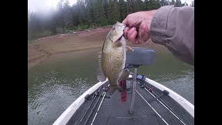 Idaho bass fishing Dworshak Reservoir prefish day [upl. by Winnick]