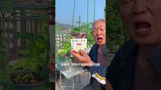 Potassium dihydrogen phosphate flowering and pollination foliar fertilizer rurallife garden [upl. by Bekaj338]