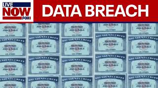 Everyones Social Security number may have been stolen in massive data breach  LiveNOW from FOX [upl. by Janek]