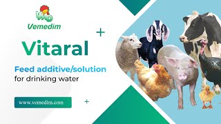 VITARAL  Feed additivesolution for drinking water [upl. by Hillyer577]