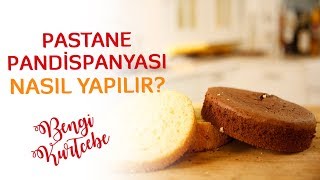 Pastane Pandispanyası Nasıl Yapılır  Pandispanya Tarifi [upl. by Elrak]