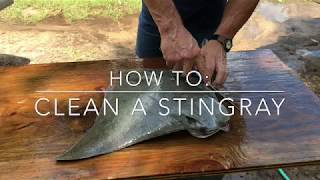 HOW TO Clean A StingRay [upl. by Nikral]