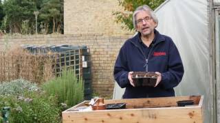 Planting Shallots  Kitchen Garden Magazine [upl. by Mendel]