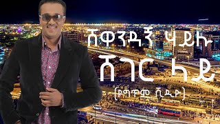 shewandagne Hailu  shger lay lyrics video ሸዋንዳኝ ሀይሉ ሸገር ላይ የዘፈን ግጥም [upl. by Ahtnahc]