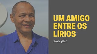 UM AMIGO ENTRE OS LÍRIOS  344  HARPA CRISTÃ  Carlos José [upl. by Ivatts844]