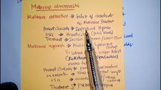 MULLERIAN abnormalities Gymeacology Chapt1 ten teacher [upl. by Deering]