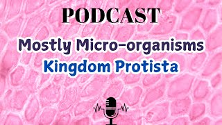 Mostly Microorganisms Kingdom Protista [upl. by Thorsten]