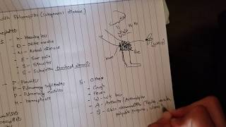 Granulomatosis with Polyangiitis Mnemonic [upl. by Enrev167]