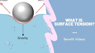 What Is Surface Tension [upl. by Euqinahc289]