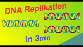 DNA Replikation  Erklärvideo [upl. by Sidman]