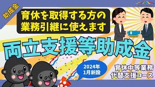 【最大675000円】育休の業務引継に使える助成金がリニューアル【2024年1月新設】 [upl. by Lerat805]