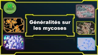 GENERALITE SUR LES MYCOSES cours de parasitologie médicale [upl. by Haodnanehs]