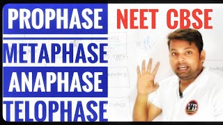 ProphaseMetaphaseAnaphaseTelophase  Meiosis part2  Cell cycle Cell division  Vinay Biology [upl. by Witkin92]