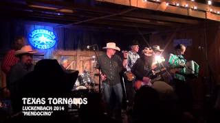 quotLIVEquot Texas Tornados quotMendocinoquot Luckenbach 2014 [upl. by Tedman656]