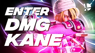 INTRODUCING DMG Kane  Smash Ultimate Sheik Montage [upl. by Namolos162]