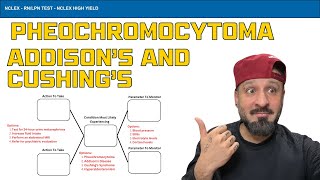 Pheochromocytoma with Addison’s Cushing’s and Pharmacology  nursing nursingschool nclex [upl. by Ardnyk]