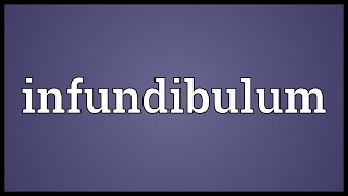 Infundibulum Meaning [upl. by Danialah246]