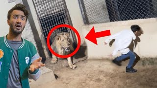 Lion Attack Prank on Vampire Gone Wrong [upl. by Anek963]