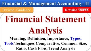 Financial Statement Financial Statement Analysis Types Financial and Management Accounting [upl. by Pond]