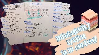 Intugmentry System Layers amp Special Structures of The Skin شرح بالعربى [upl. by Jamieson]