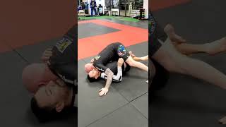 Short Berimbolo and Cross Ashi from HalfGuard in BJJ [upl. by Hctim365]