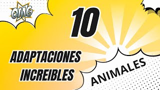 las 10 adaptaciones de animales más fascinantes biodiversidad [upl. by Driskill]