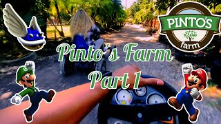 Things to do in Miami  Pintos Farm  Part 1 [upl. by Muir733]