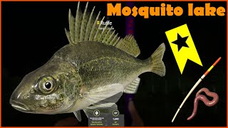 Mosquito lake  Komarówka  Trophy jazgarz ruffe  Russian Fishing 4 RF4 [upl. by Drucilla]