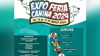 EXPO FERIA CANINA 2024 BIS 2DO DIA 15032024 [upl. by Zink403]