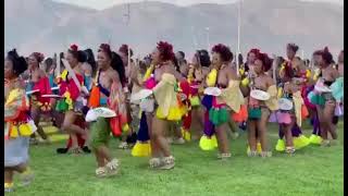 Umhlanga Reed Dance 2022 [upl. by Hump749]